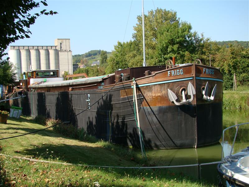 DSC06673 (Medium).JPG