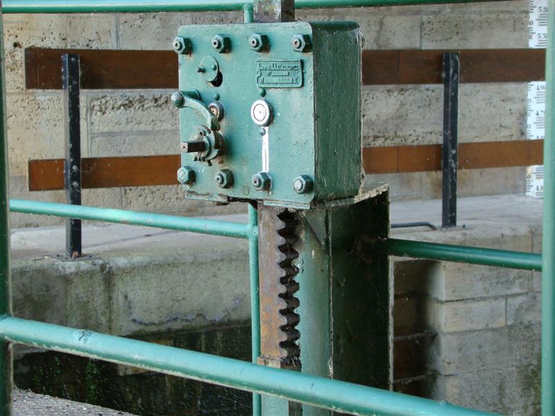 DSC06646 (Medium).JPG