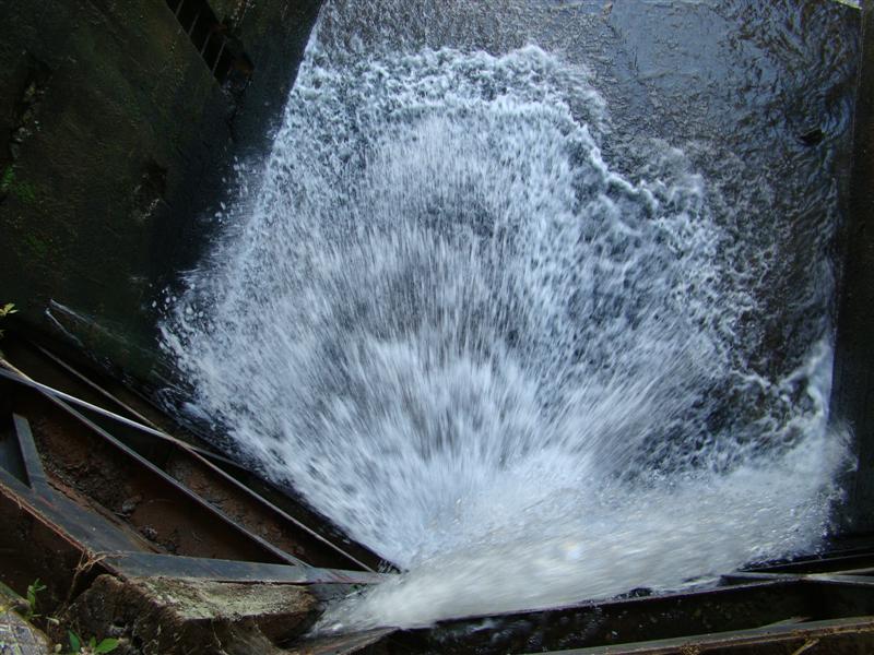 DSC06643 (Medium).JPG