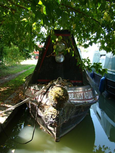 DSC06649 (Medium).JPG