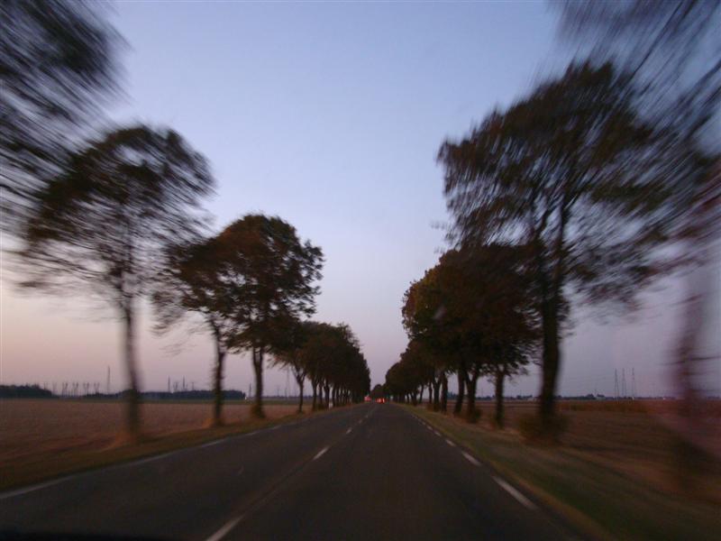 DSC06716 (Medium).JPG