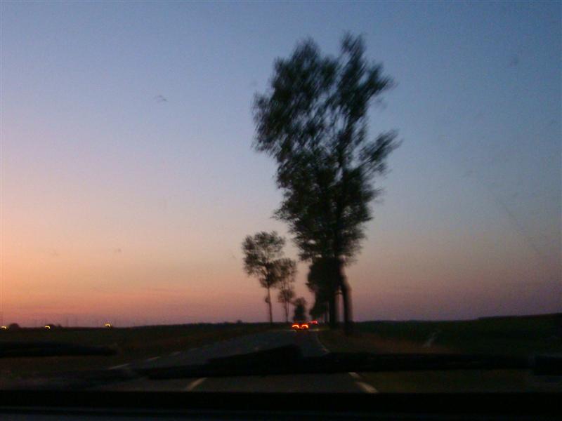 DSC06759 (Medium).JPG