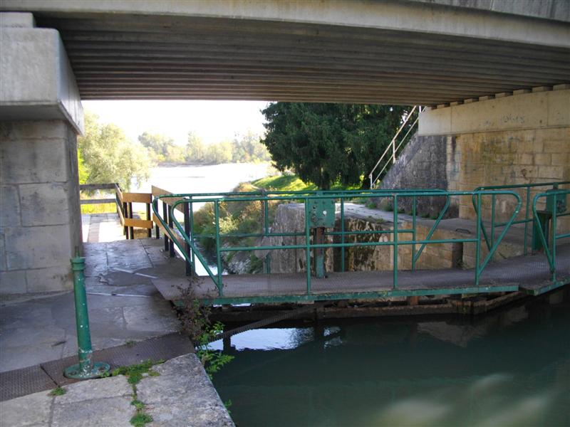 IMGP0868 (Medium).JPG