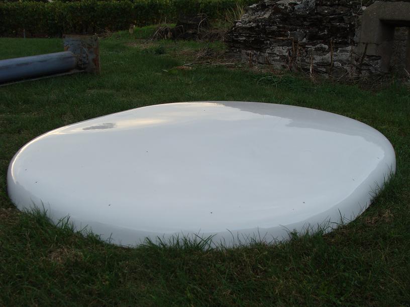 Peinture champignon.JPG