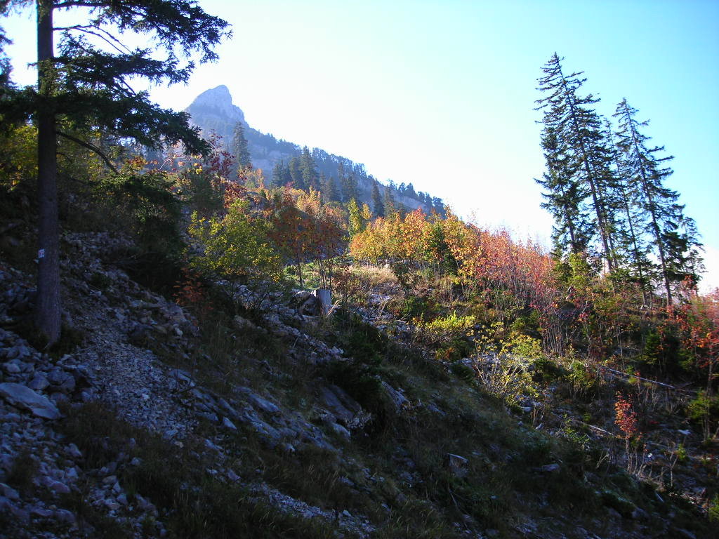 DSCN0065.JPG