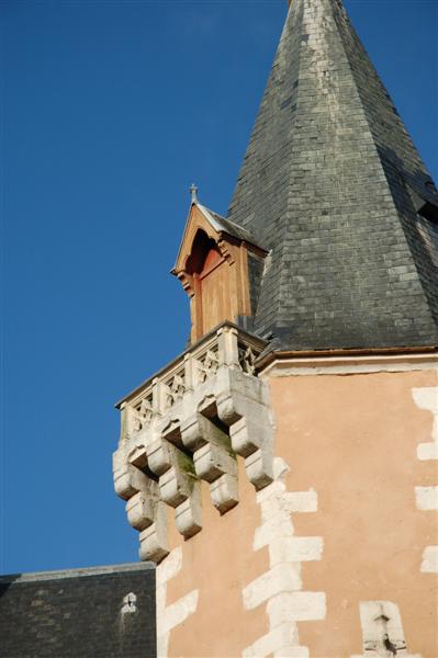 DSC_1642 (Medium).JPG