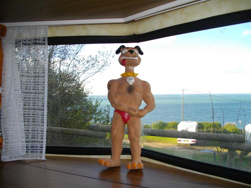 gardien de la puck sur la dinette (Medium).JPG