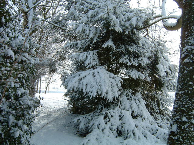 DSCF0284.JPG