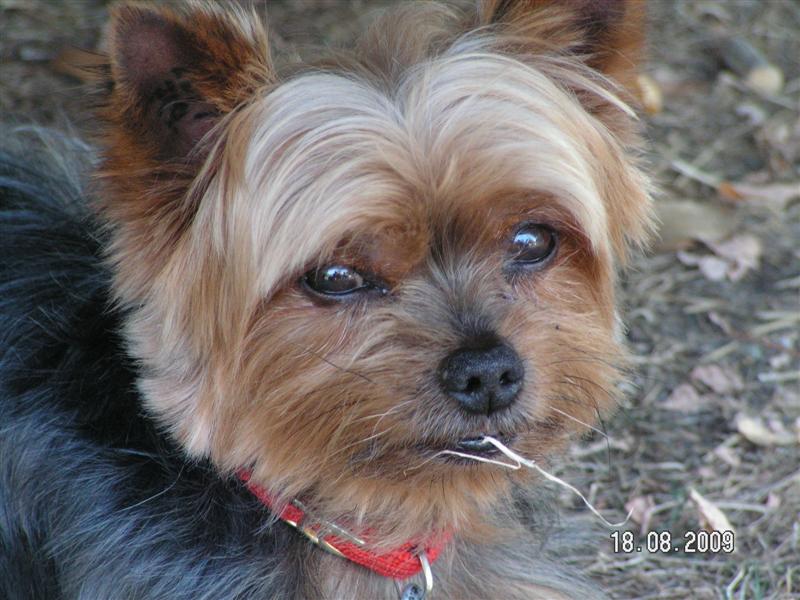 PICT0136 (Medium) (2).JPG