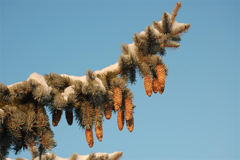 DSC_1902 (Medium).JPG