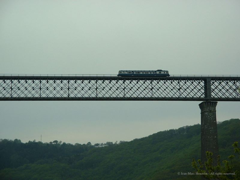 l1.jpg
