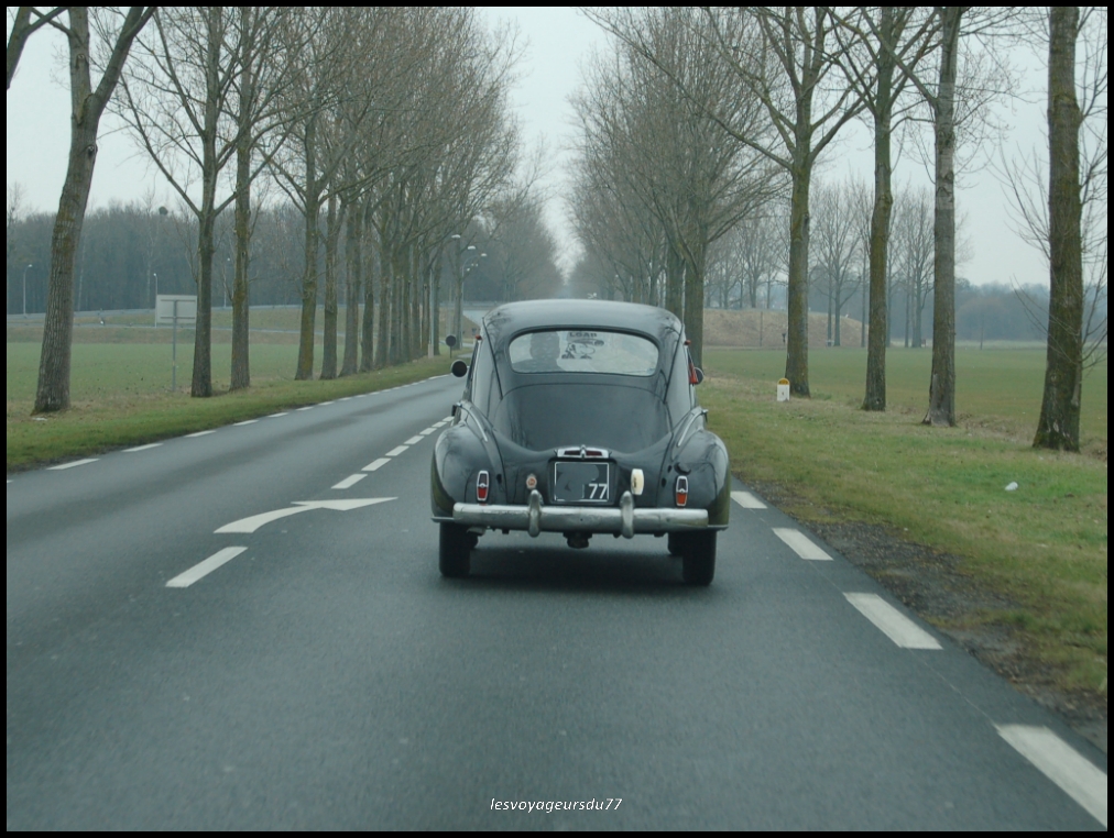 DSC_2827 [1000X750].jpg