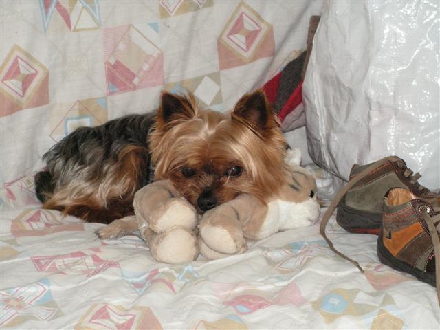 PICT0254 (Small).JPG