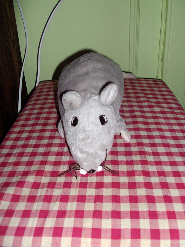 photos 118.jpg