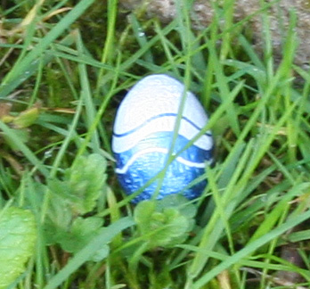 lapin.jpg