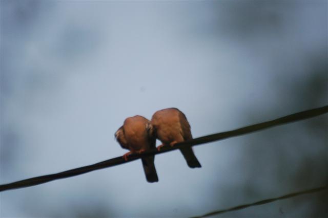 DSC_3150 (Small).JPG