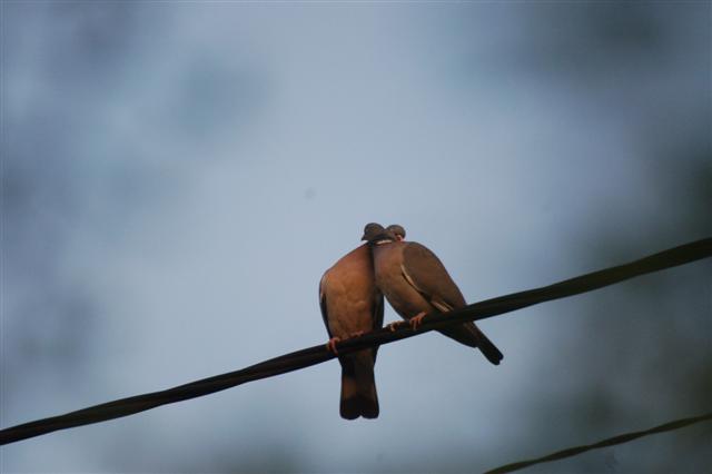 DSC_3152 (Small).JPG