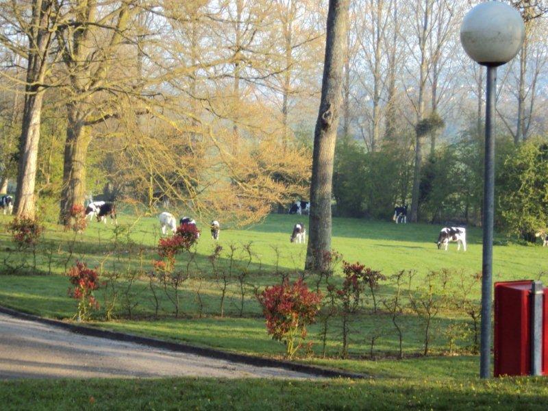 Le camping de la ville D'EU