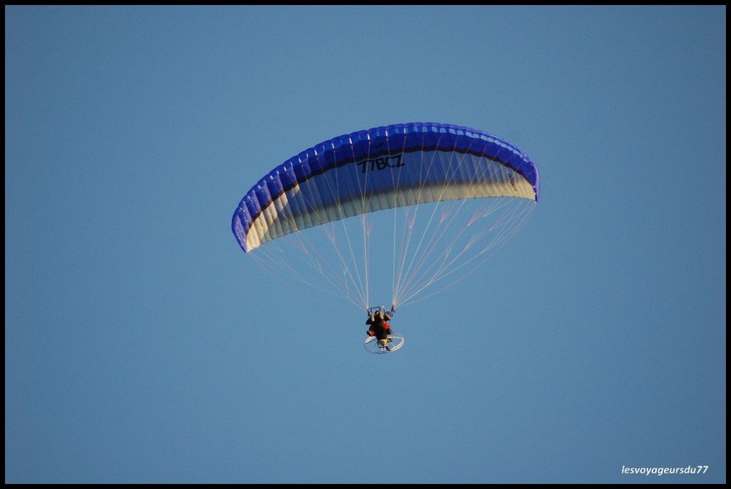 pp1.JPG