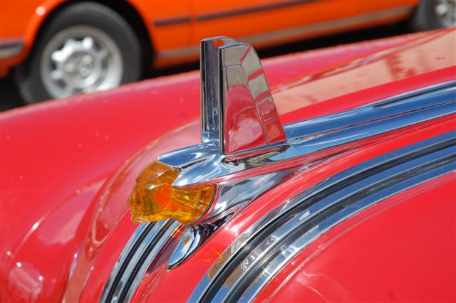 DSC_3338 (Small).JPG