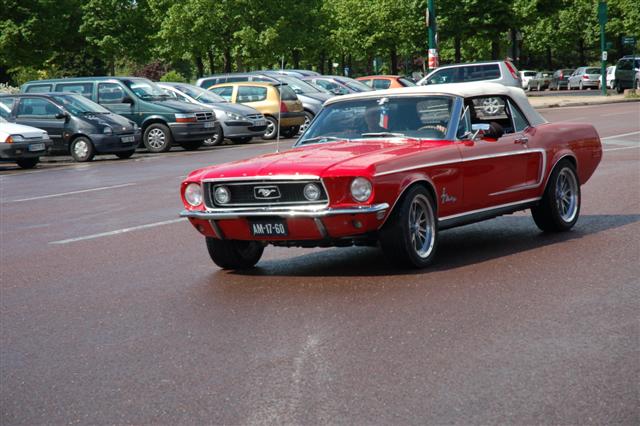 DSC_3350 (Small).JPG