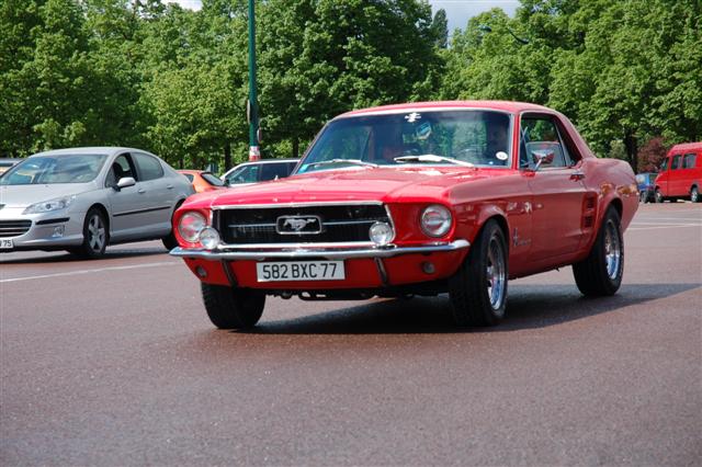 DSC_3361 (Small).JPG