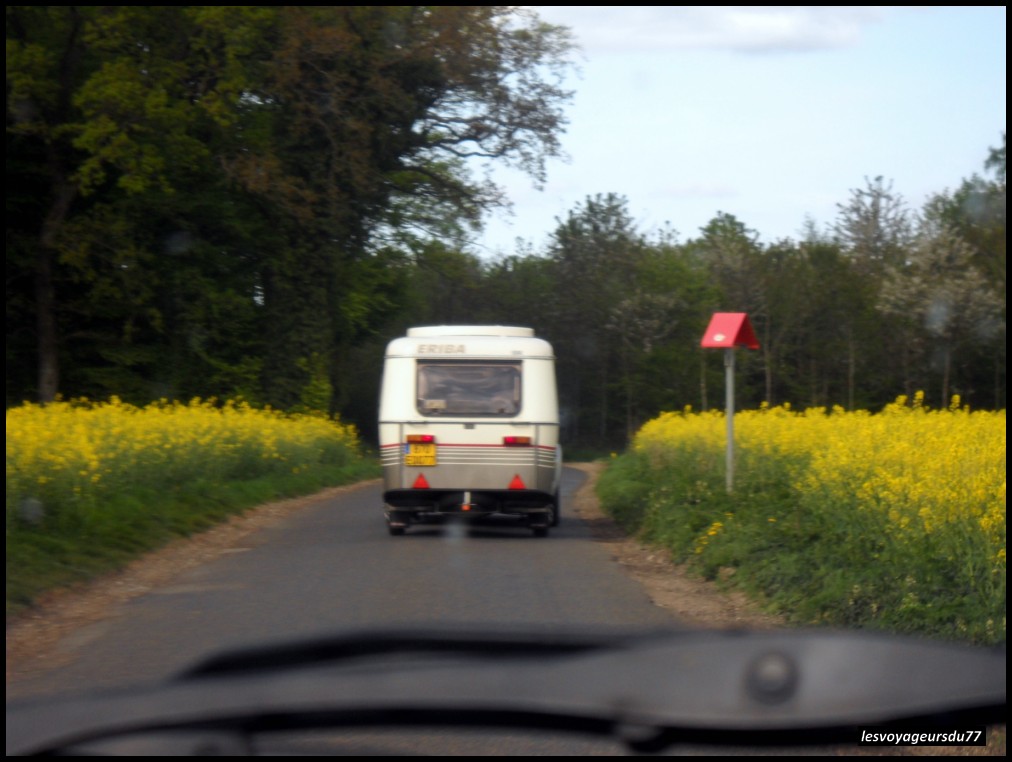 DSCN1016-1 [1000X750].JPG