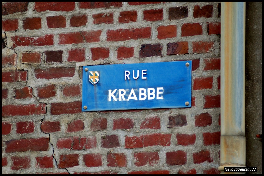 DSC_4555-1 [1000X750].JPG