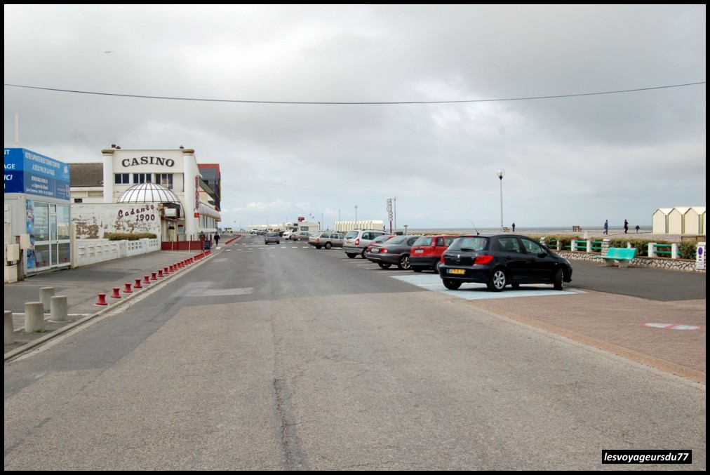 DSC_4563-1 [1000X750].JPG