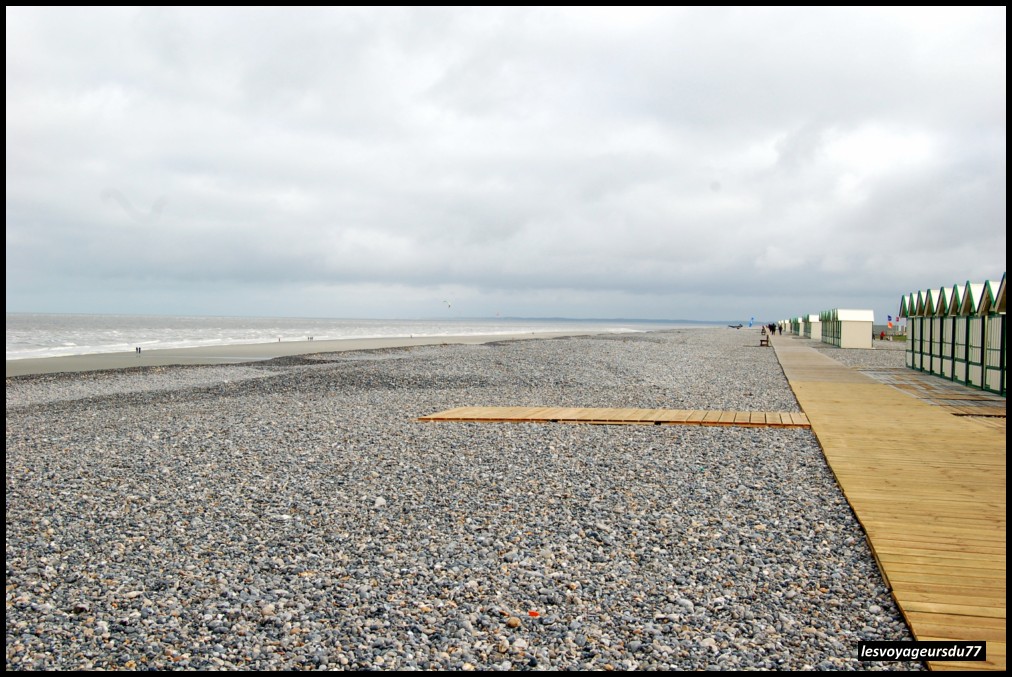 DSC_4565-1 [1000X750].JPG