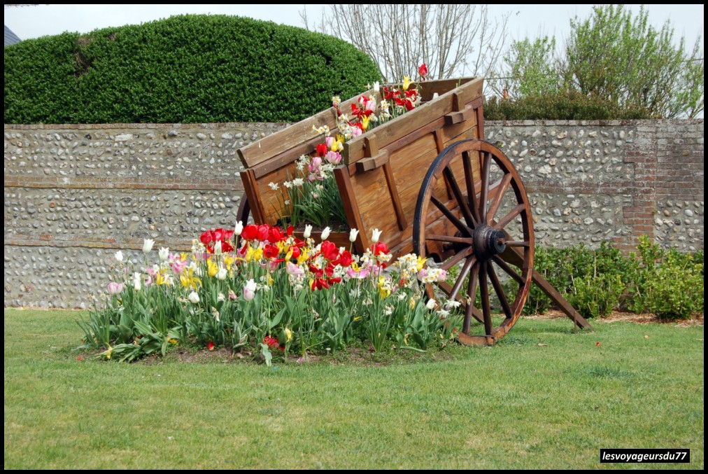 DSC_4572-1 [1000X750].JPG