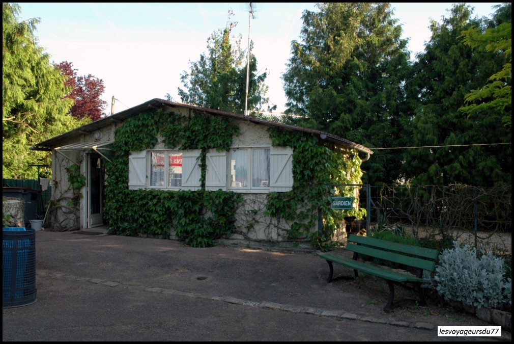 2 (2) [1000X750].JPG