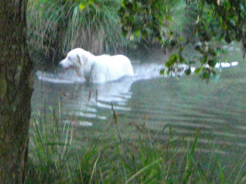 et puis aussi ça au lever du jour (5h30)