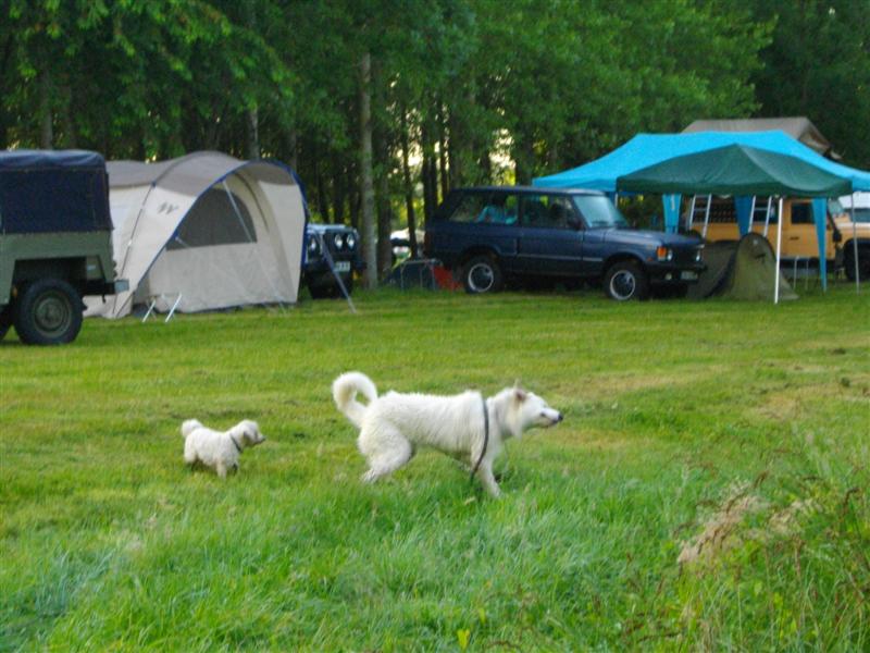 IMGP0697 (Medium).JPG