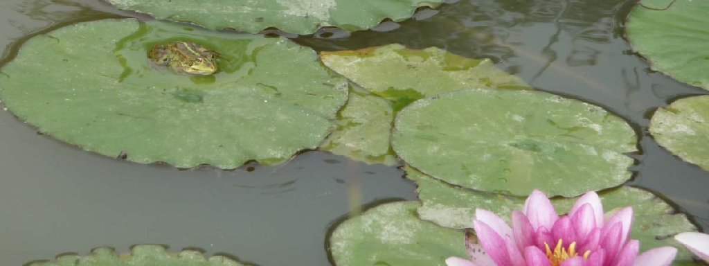 ap1050119 (2).jpg