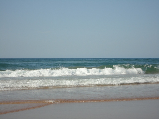 DSC00382.JPG