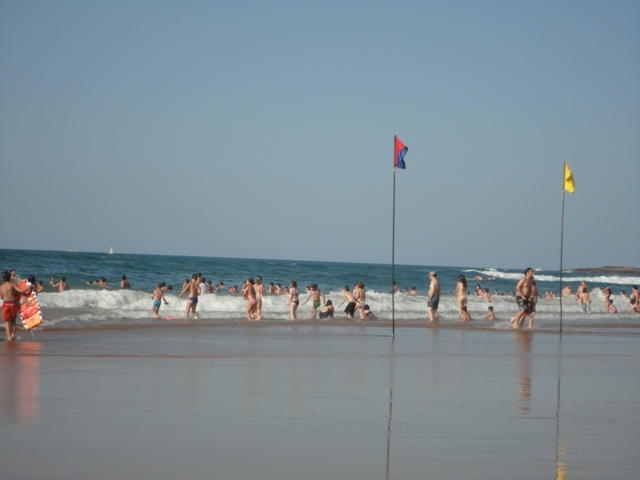 DSC00383.JPG