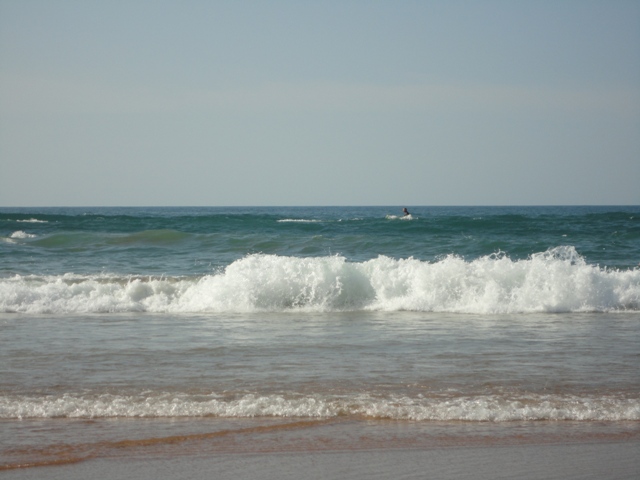 DSC00384.JPG