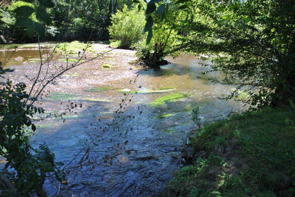 Rivière au fond du Camping [1024x768].JPG