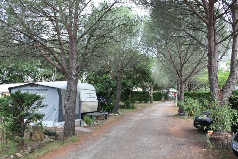 Arrivée à Laurens au superbe Camping de l'oliveraie, terme de notre 2ème étape.