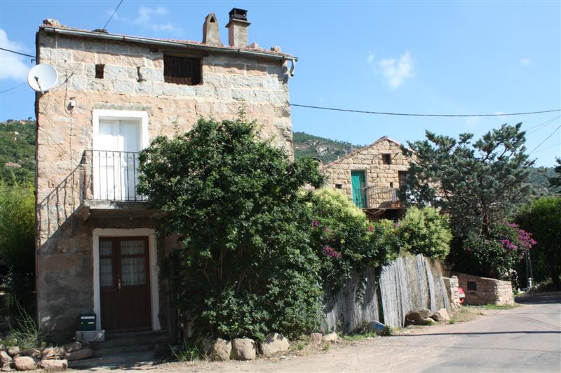 Dans le maquis d'Araghju