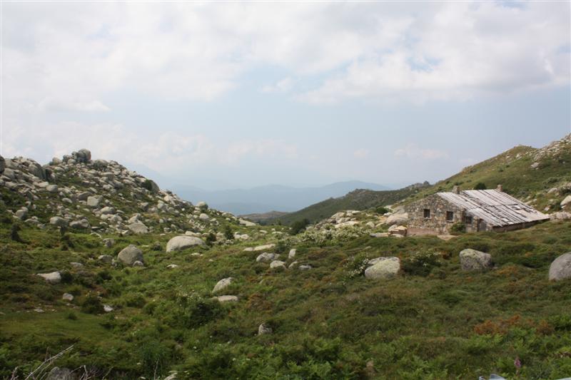 Sur le plateau du Coscione (alt. 1600 m )