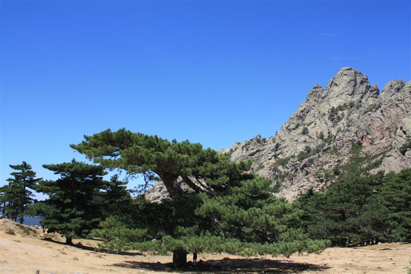 Lieu INCONTOURNABLE, Les Aiguilles de Bavella