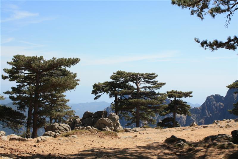 Lieu INCONTOURNABLE, Les Aiguilles de Bavella