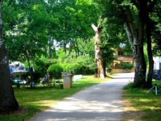 Camping Nostradamus - GPS N 43°40'39" <br />E 5°3'52"