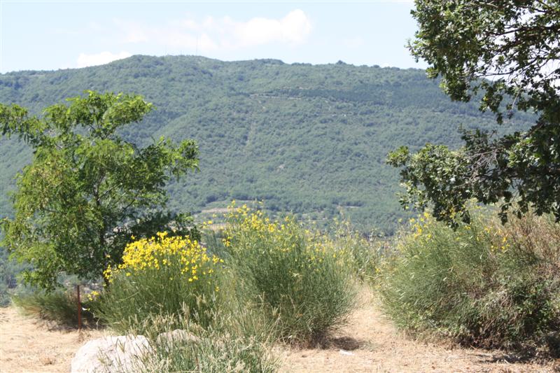 Quelque part dans les Cévennes sur la D902