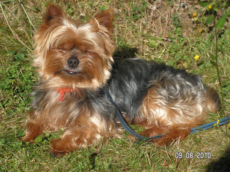 crevé et le soleil du matin dans les yeux.