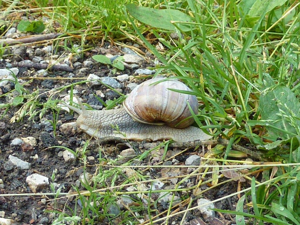 2010-07-11 001 2010-07-11 005.jpg