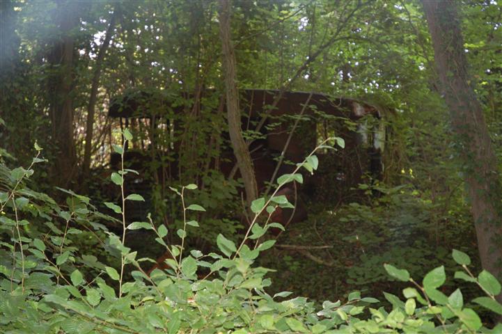 DSC_4183 (Small).JPG