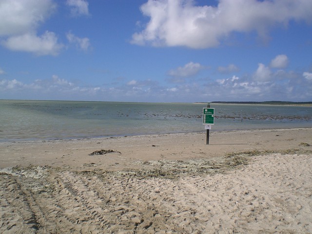 CIMG4448.JPG
